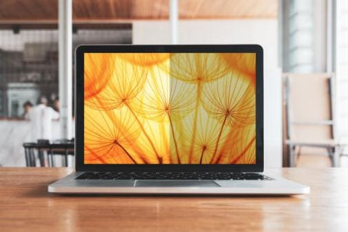 3M Bright Screen Privacy Filter MacBook 13 M2-M4 (16:10)
