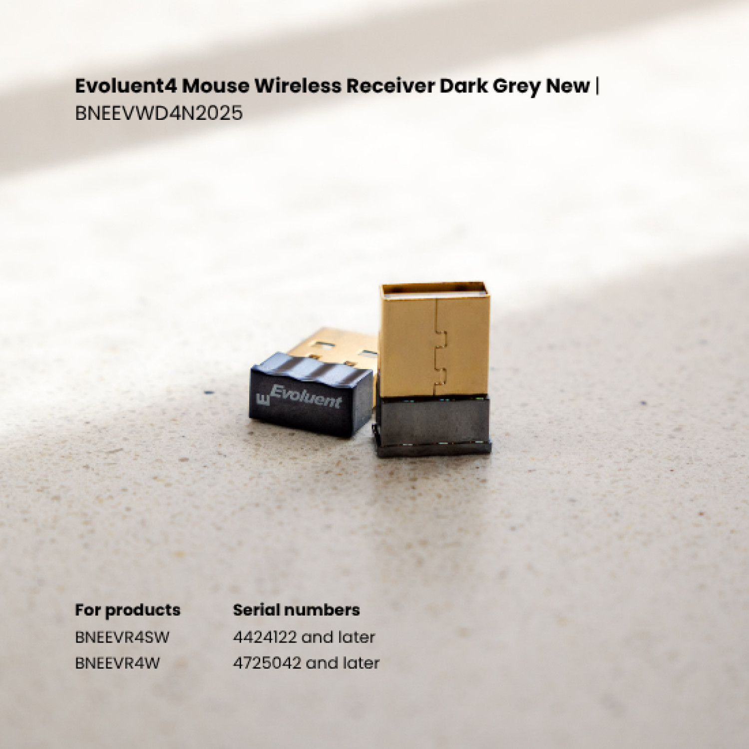 BildeEvoluent4 Mouse Wireless Receiver Dark Grey