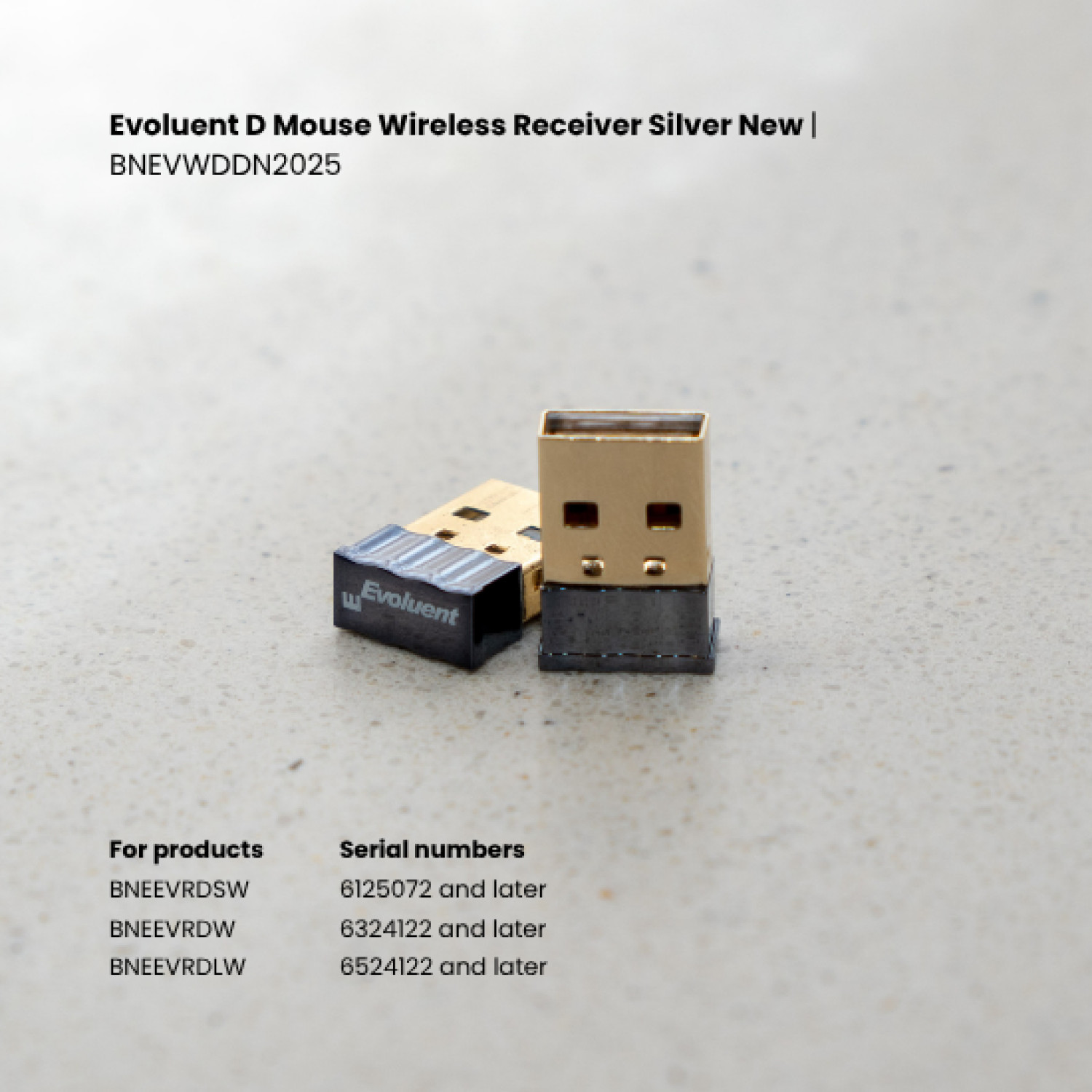 BildeEvoluentD Mouse Wireless Receiver Silver