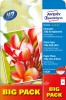 A4 Avery Fotopapir Glossy Inkjet 250g (50)