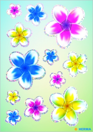 Herma Klistremerker Magic Summer Flowers 3D (1)