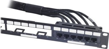 APC CAT6 UTP CMR 6XRJ-45 Black 50FT