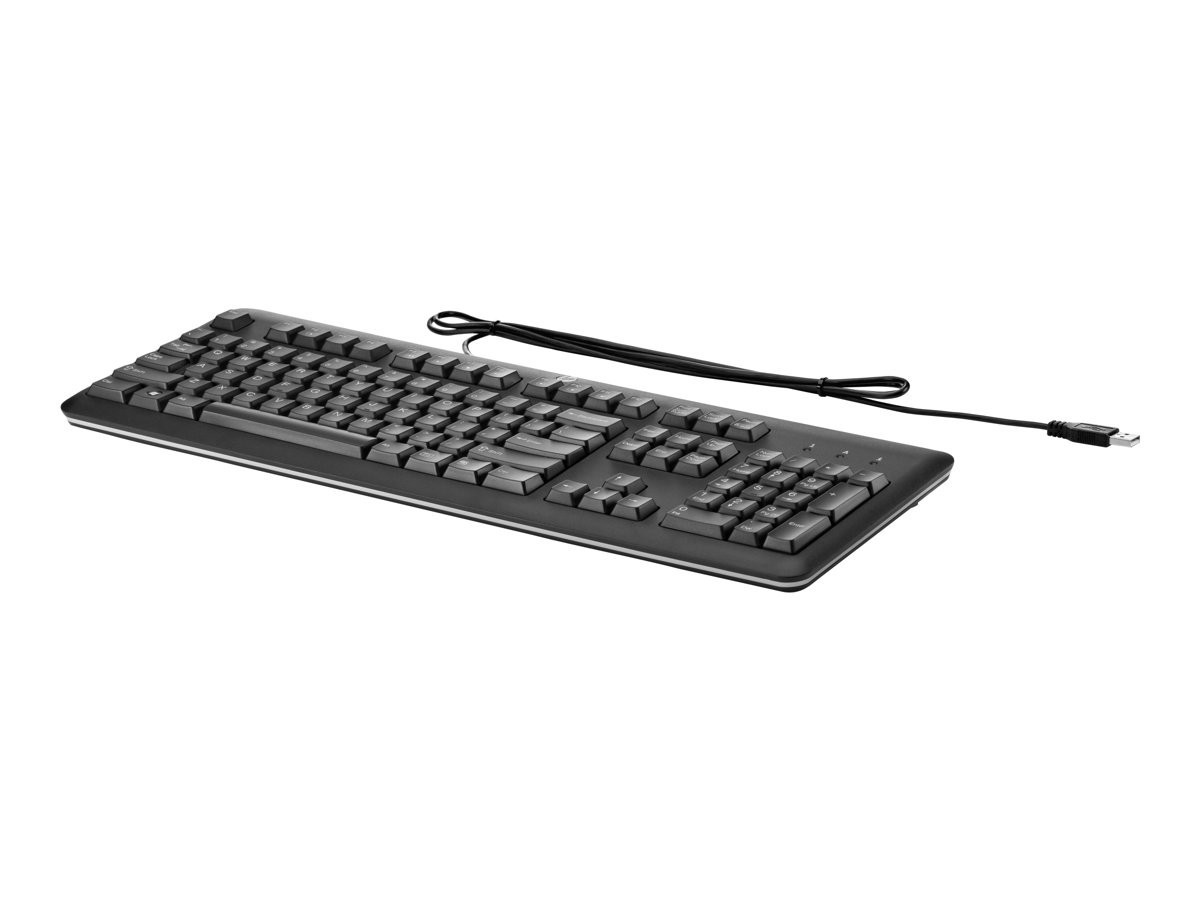 HP USB Keyboard (UK)