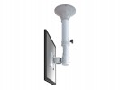 NEWSTAR FPMA-C025SILVER Ceiling Mount