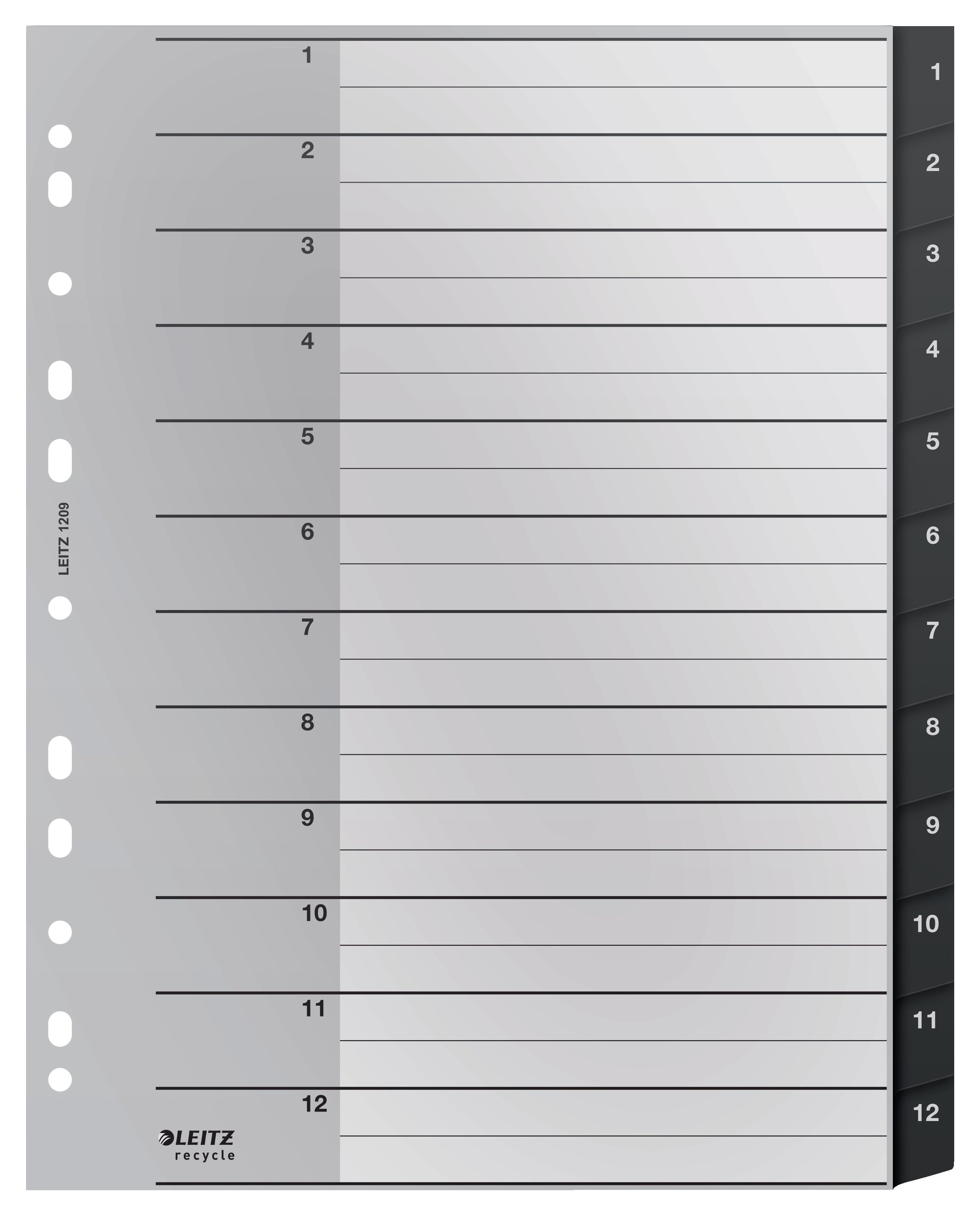 BildeRegister Leitz Recycle 1-12 A4 PP