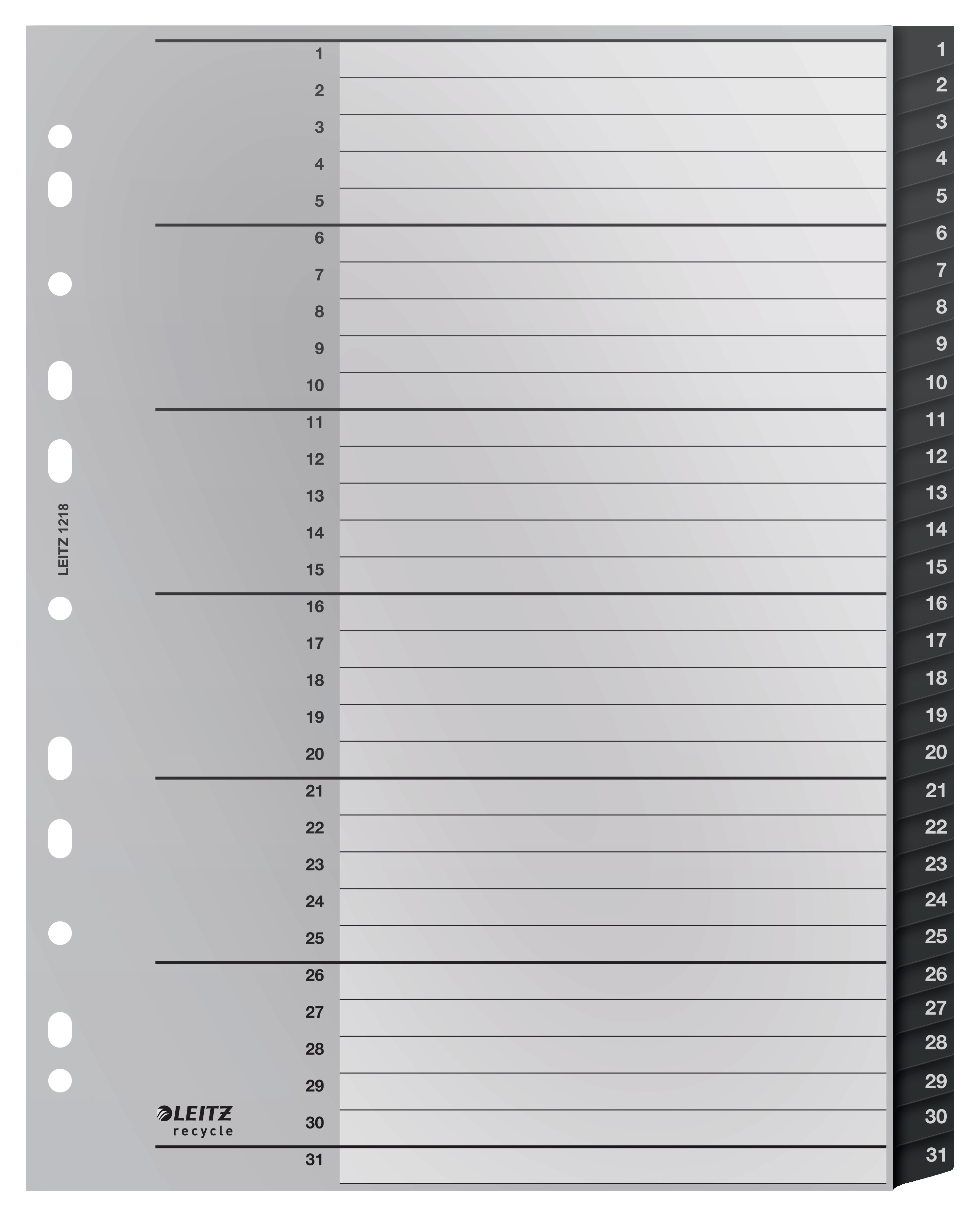 BildeRegister Leitz Recycle 1-31 A4 PP