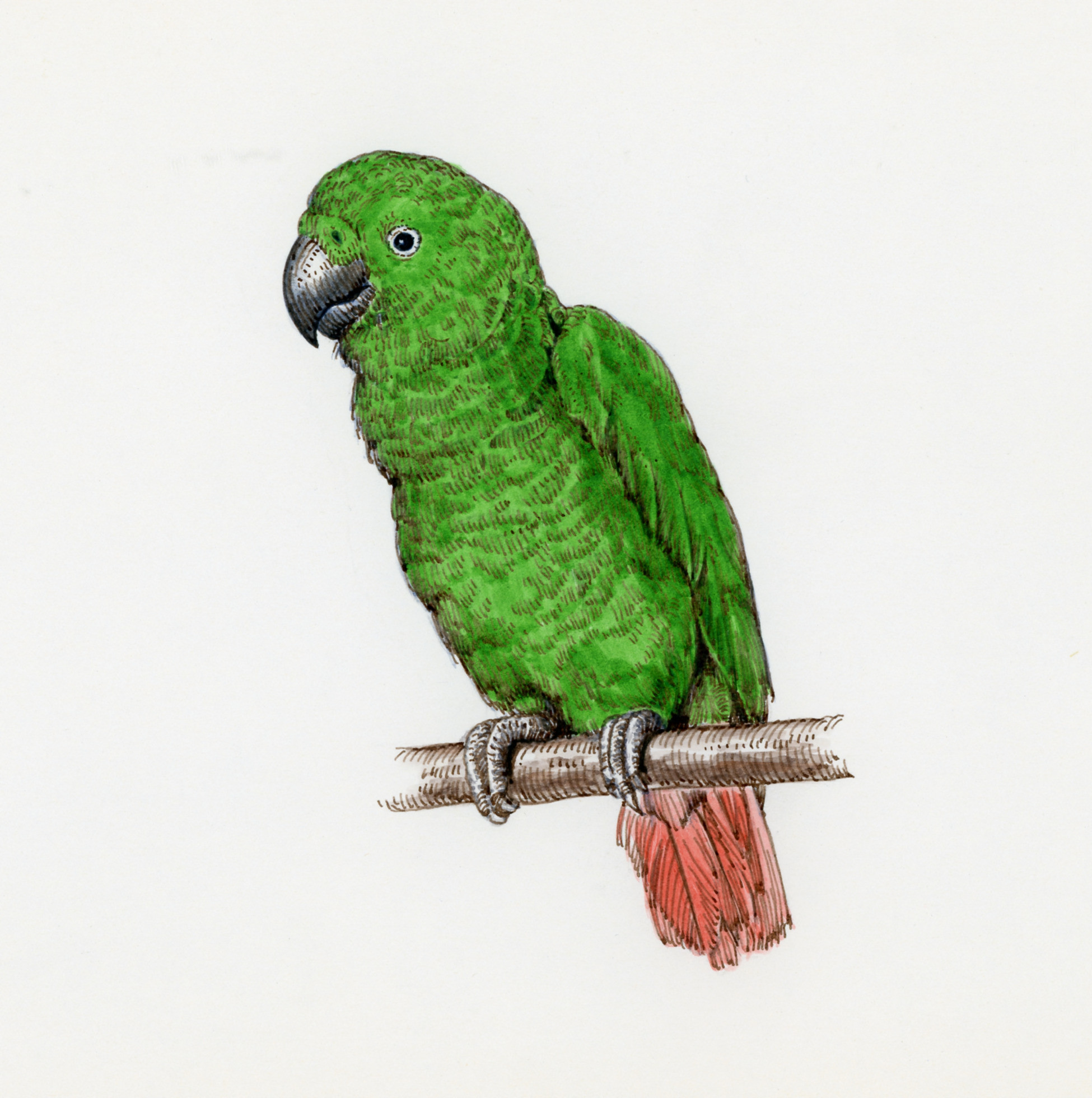 Tombow pencil Irojiten quartz green