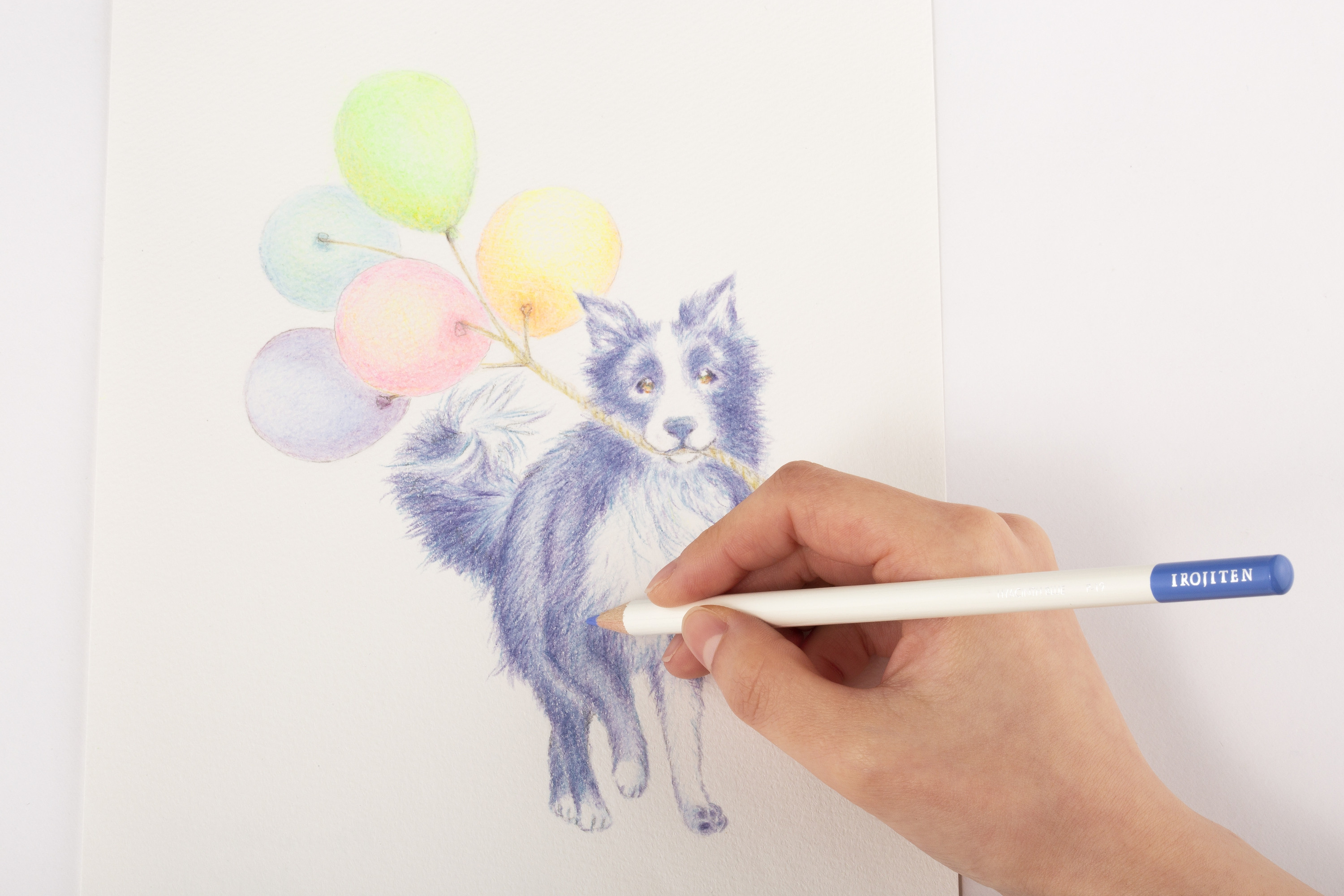 Tombow pencil Irojiten king fisher