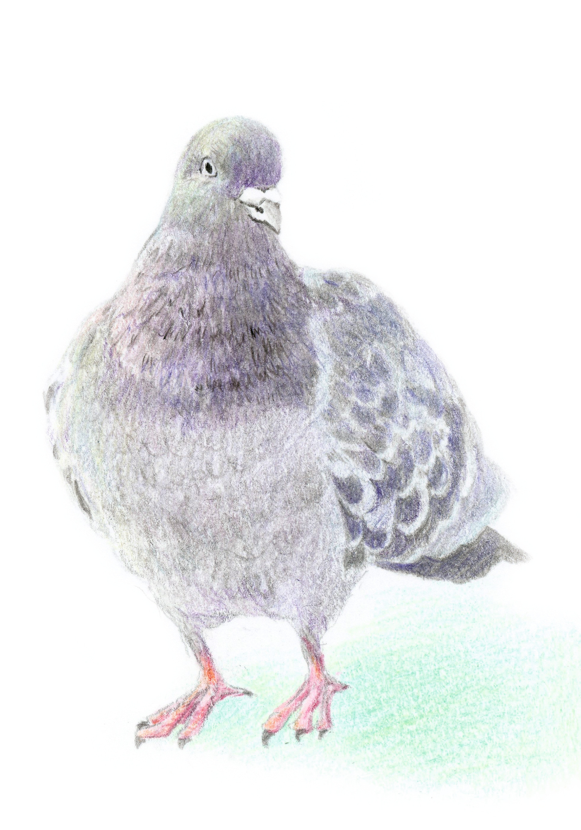 Tombow pencil Irojiten eggshell