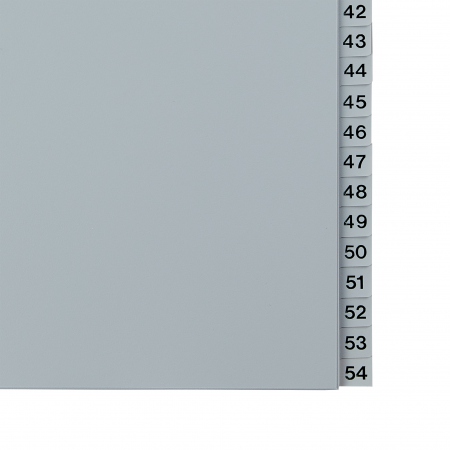 Esselte Register PP A4 1-54 gr 