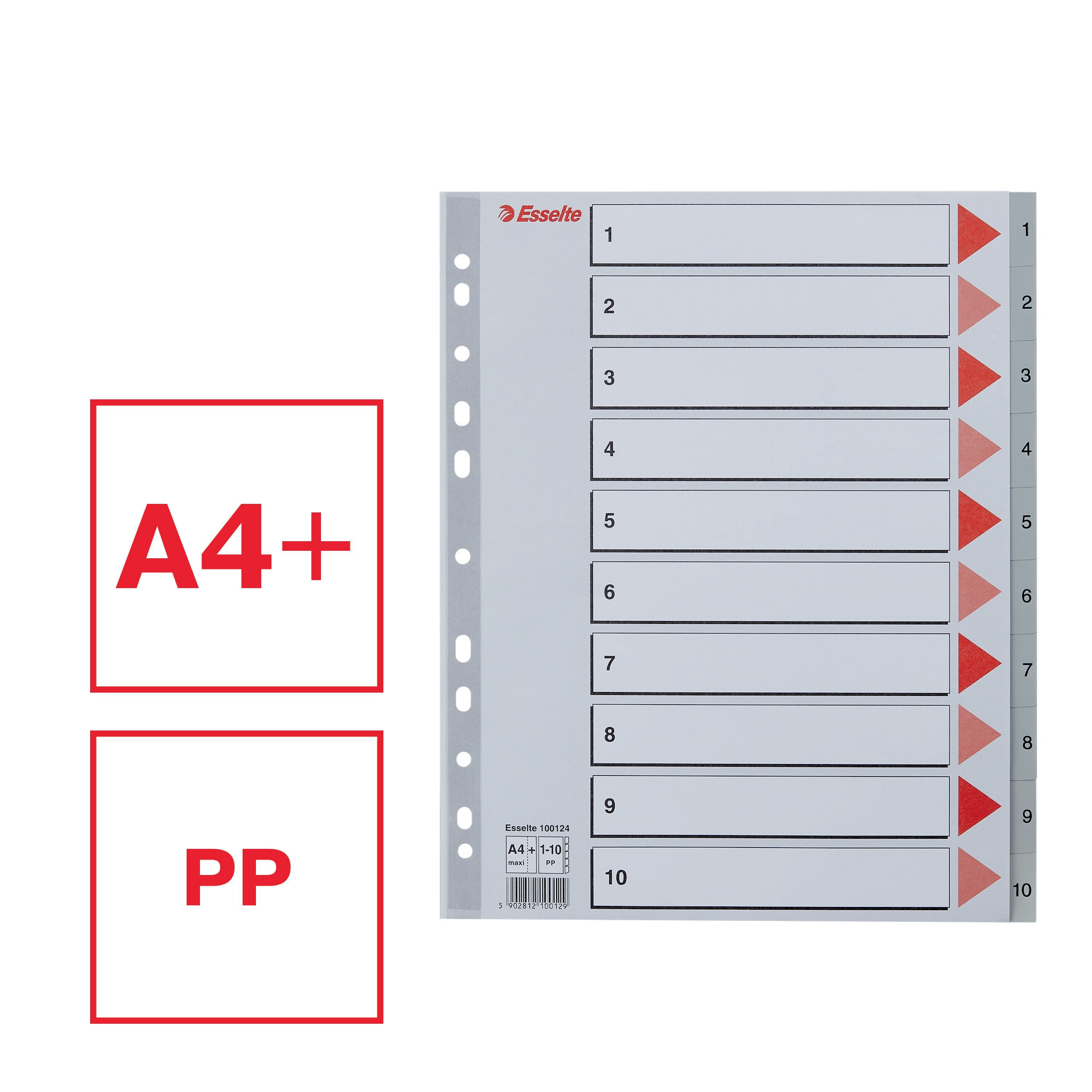 Esselte Register PP A4 Maxi 1-10 gr