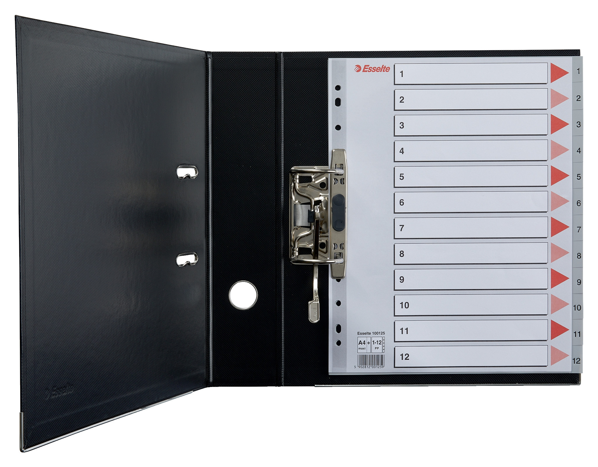 Esselte Register PP A4 Maxi 1-12 gr