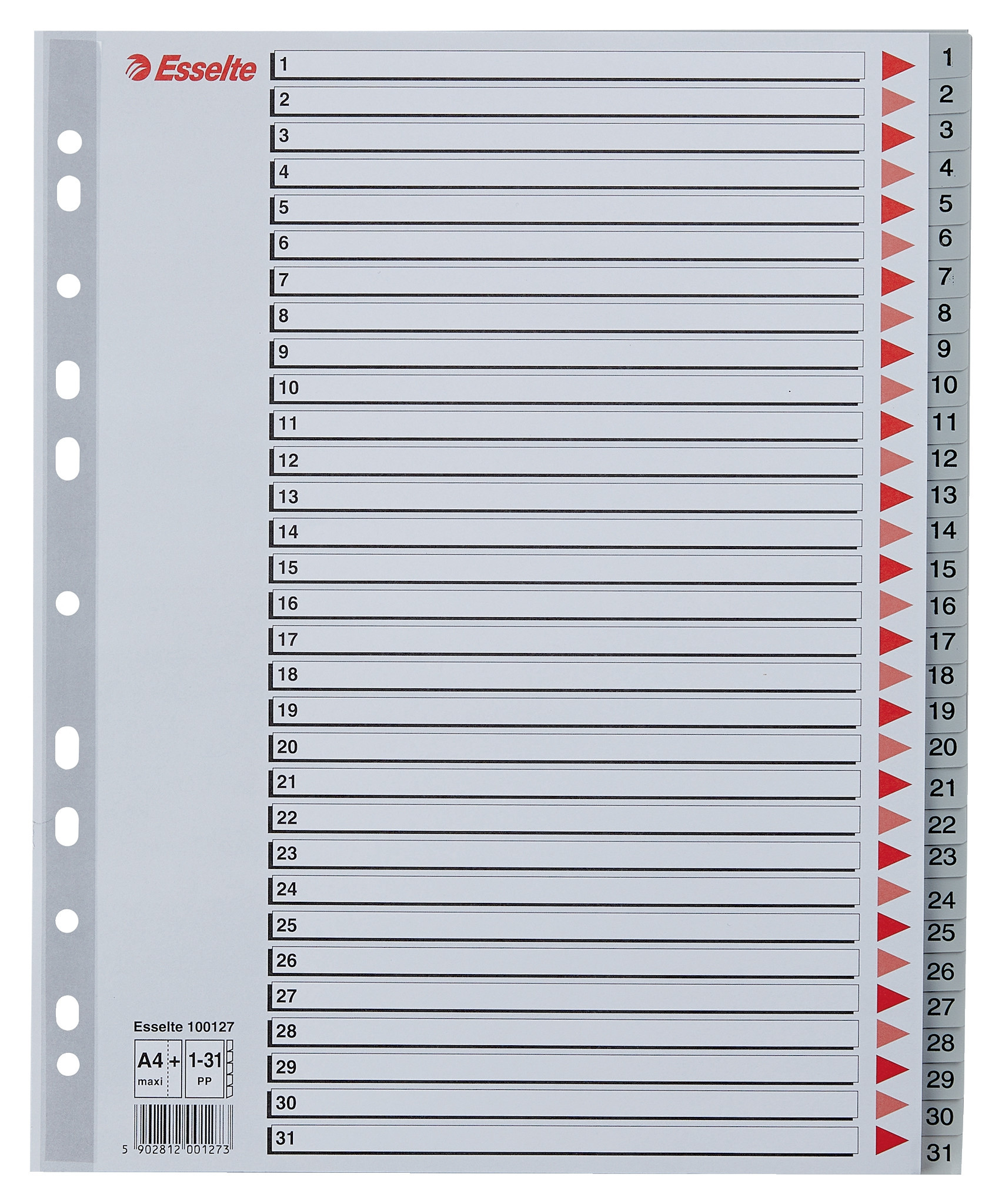 BildeEsselte Register PP A4 Maxi 1-31 gr