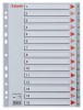 Esselte Register PP A4 Maxi 1-15 gr