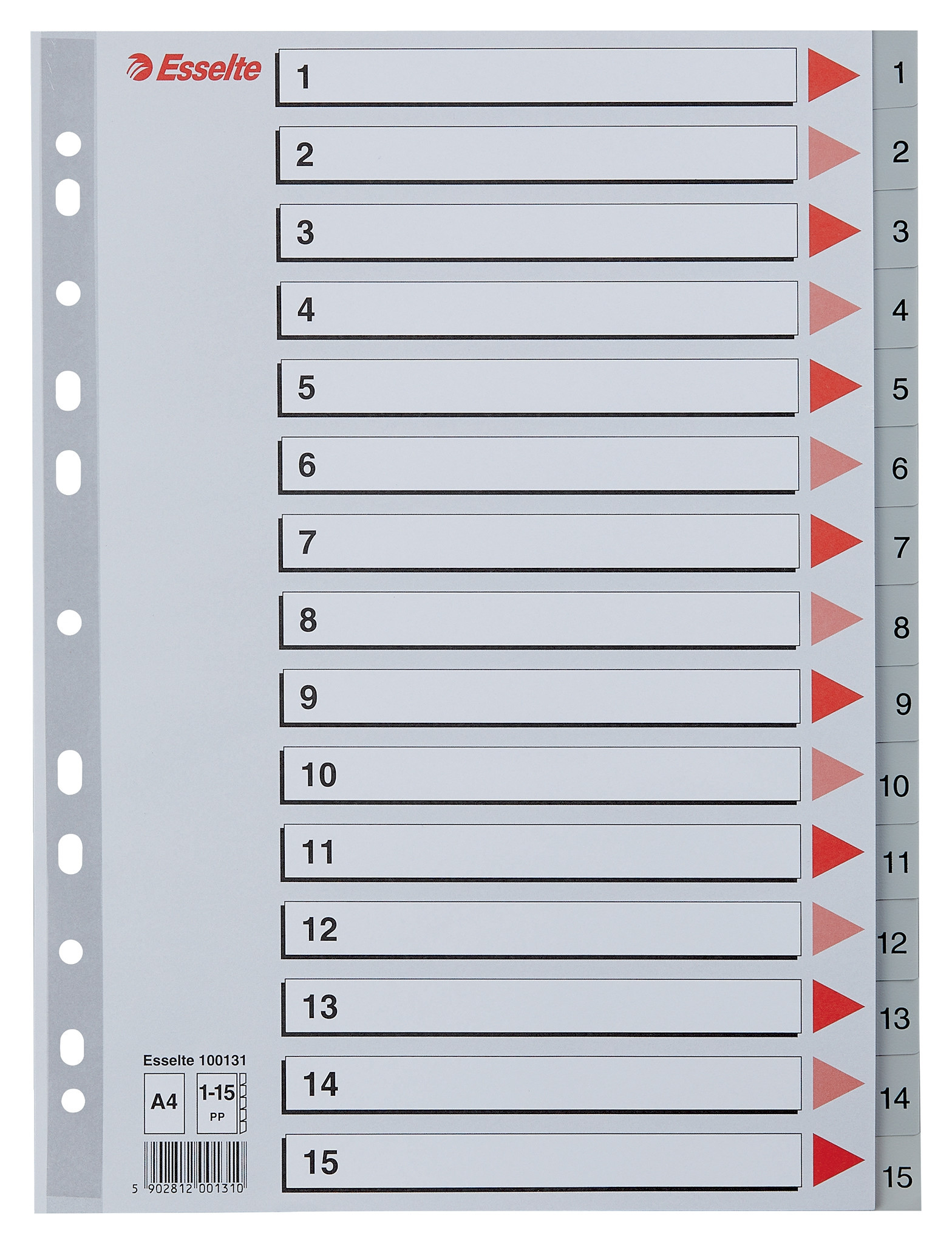BildeEsselte Register PP A4 Maxi 1-15 gr