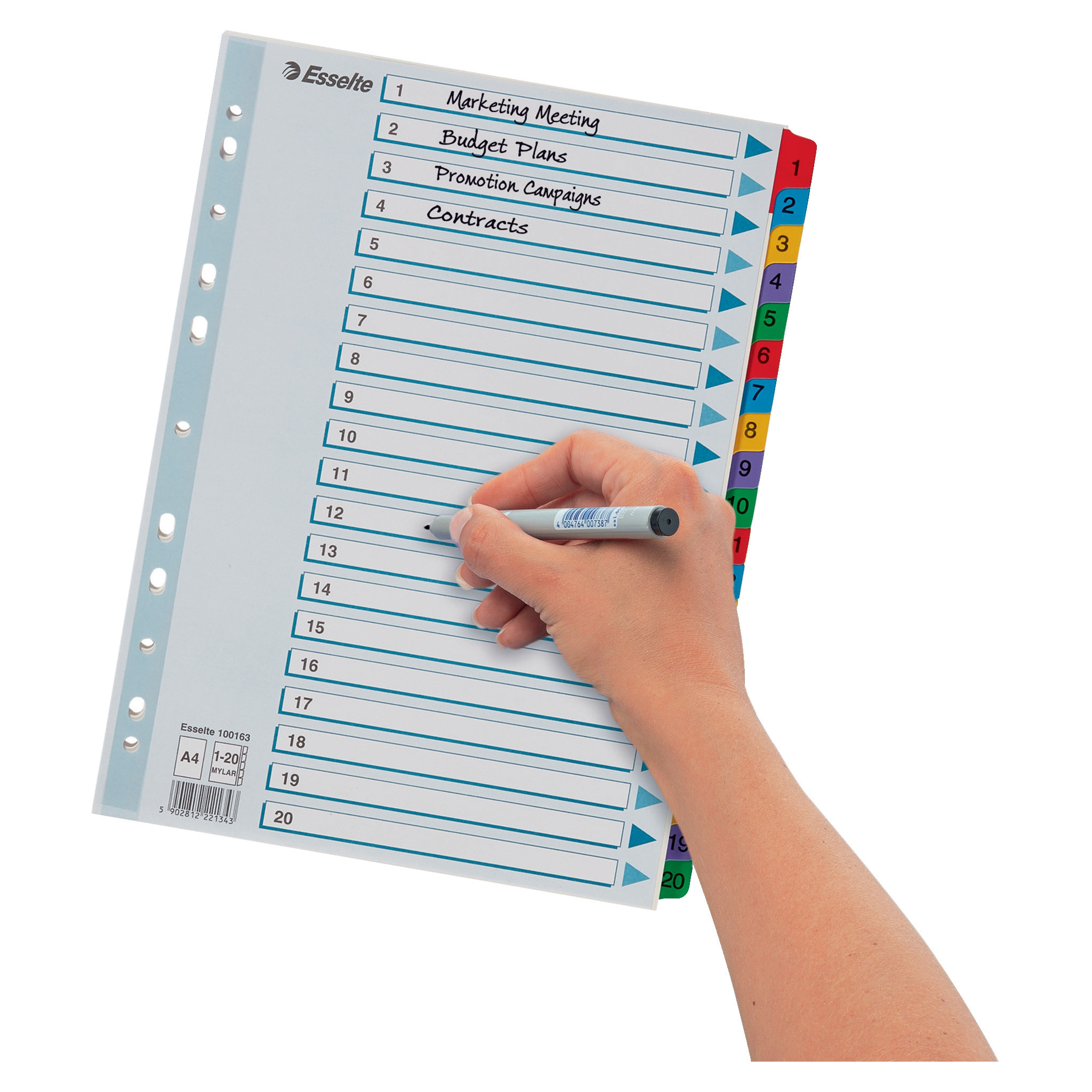 Esselte Register Mylar A4 1-20 flerfarg 