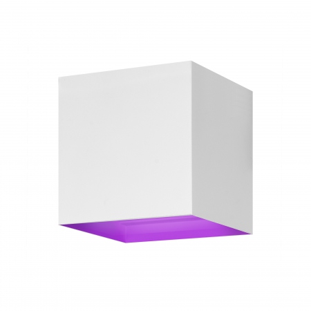 HOMBLI Outdoor Smart Light Wallmount RGB CCT White