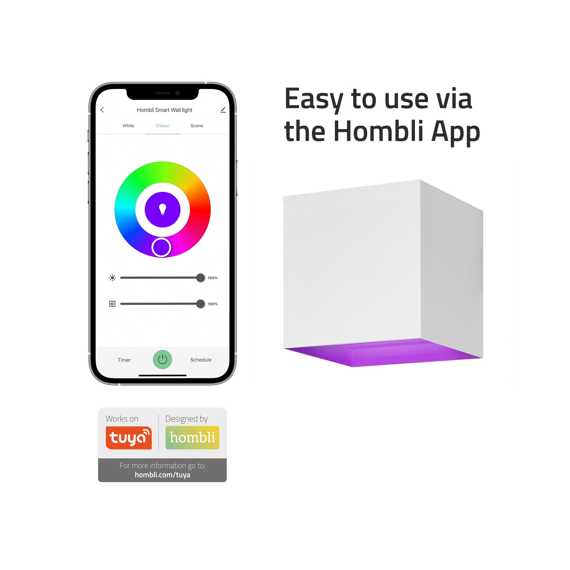 HOMBLI Outdoor Smart Light Wallmount RGB CCT White