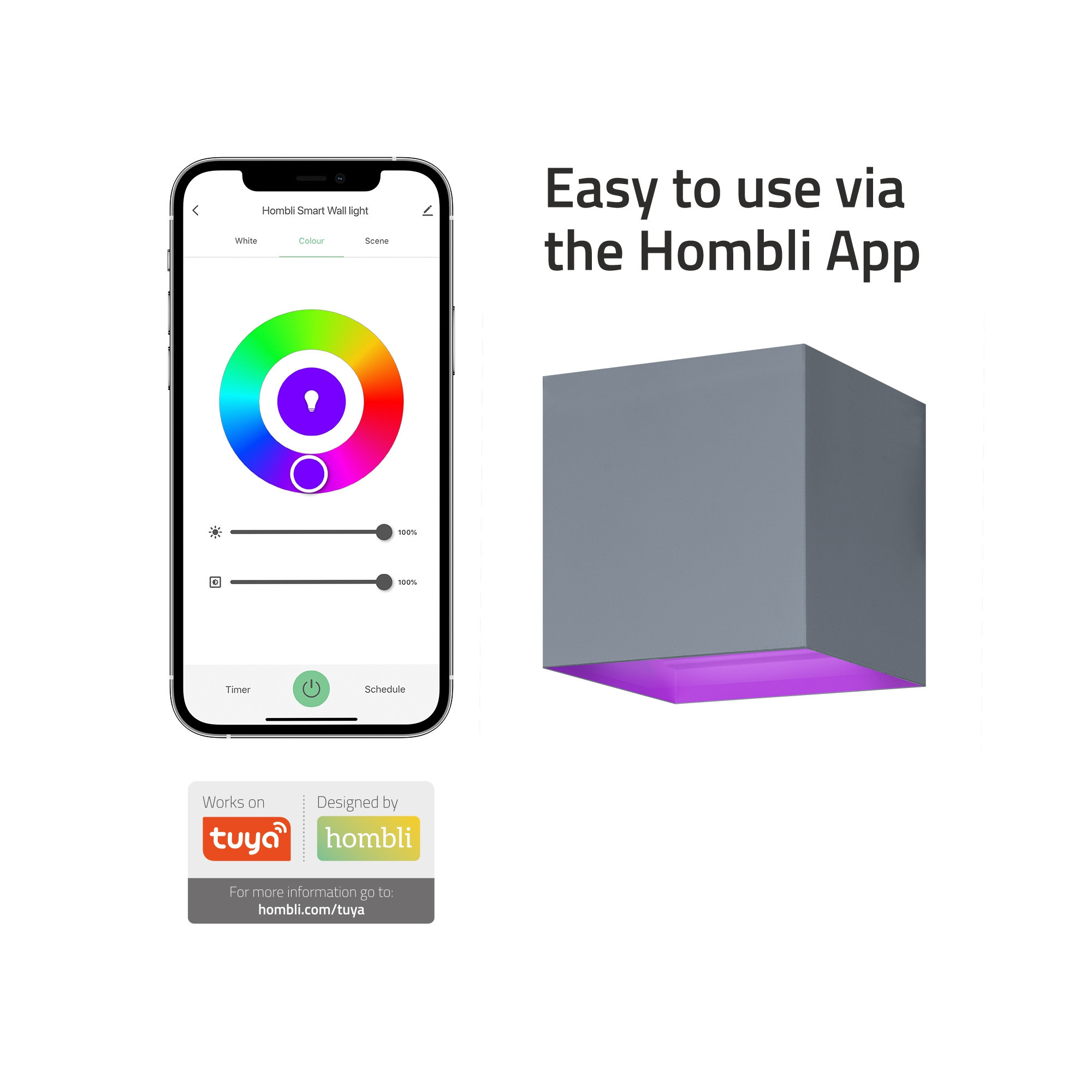 HOMBLI Outdoor Smart Light Wallmount RGB CCT Grey
