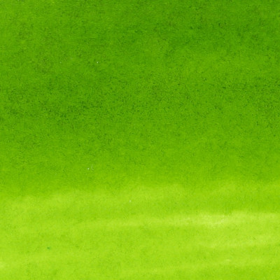 ZIG Clean Color Real Brush 410 Lv Grnn