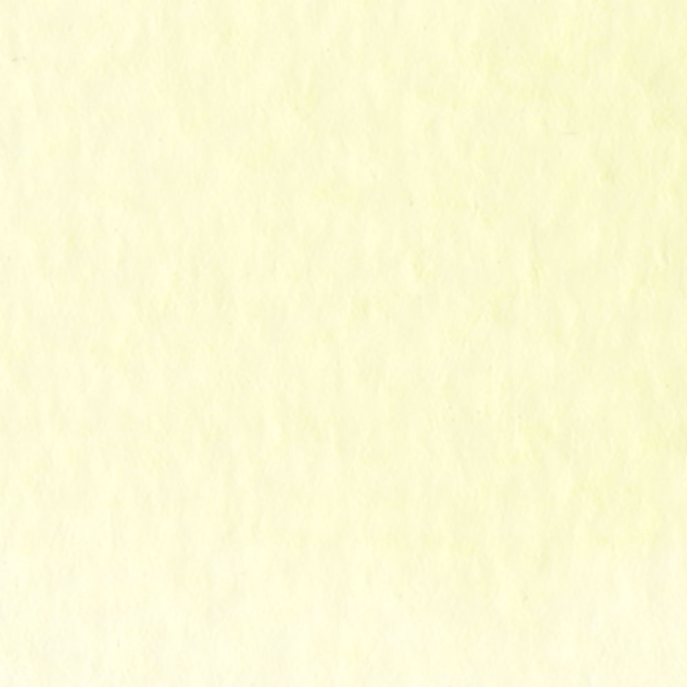 ZIG Clean Color Real Brush 506 Blek Sitron