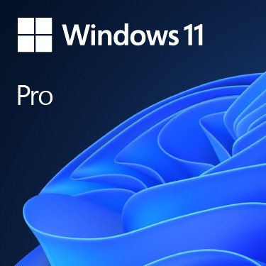BildeMicrosoft Windows 11 Pro - dvd (1 license)