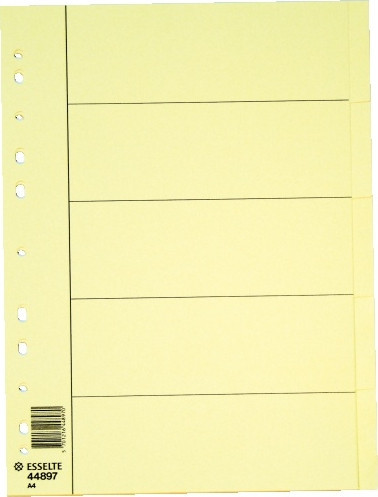 BildeSkilleblad Esselte A4 10-delt Manilla (25 stk)