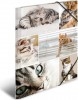Herma Strikkmappe A4 PP-papp. Katter