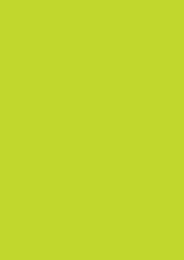 BildeBngers Farget papir A4 170g 10-pk gressgrnn