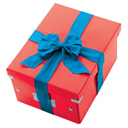 Oppbevaringsboks Click&amp;Store Kube L Rd
