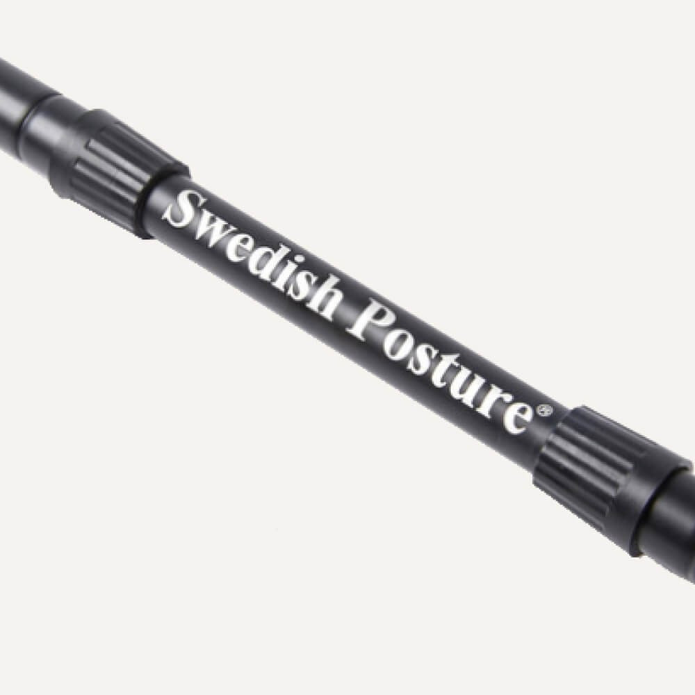 SWEDISH POSTURE Mini Gym