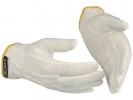 Hanske Guide 549 Bomull M/Nupper 8 (12 p...