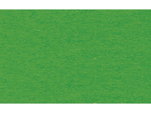 BildeFotokartong Ursus 50X70 300G Gressgrønn (10 stk)