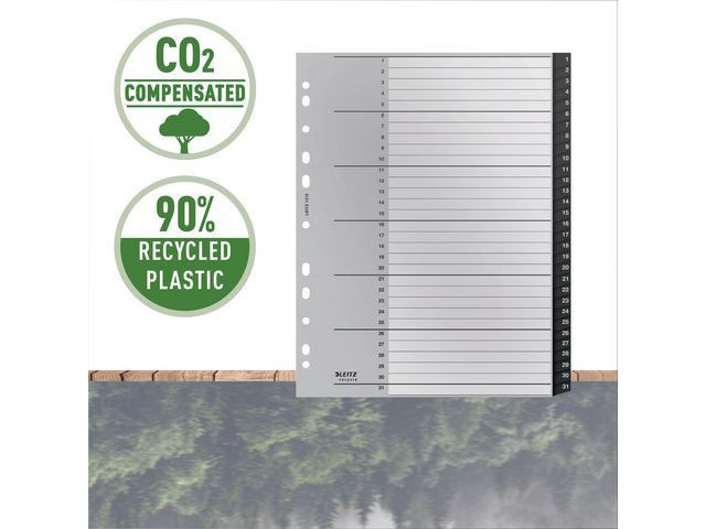 BildeRegister Leitz Recycle 1-31 A4+ Pp