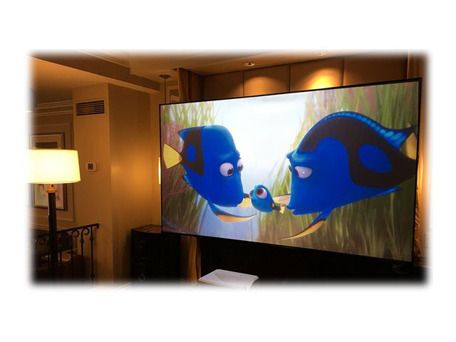 ELITE SCREENS CLR3 light rejecting