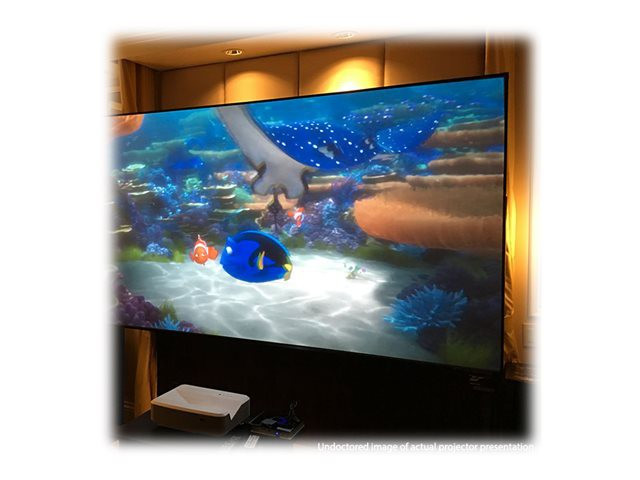 ELITE SCREENS CLR3 light rejecting