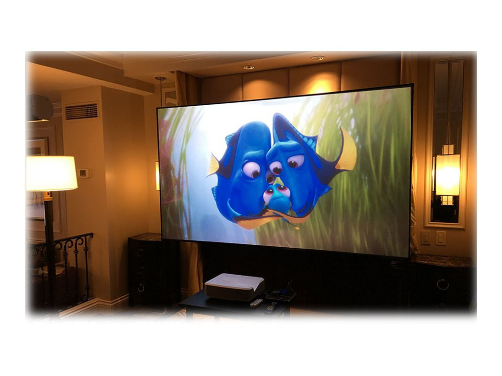 ELITE SCREENS CLR3 light rejecting