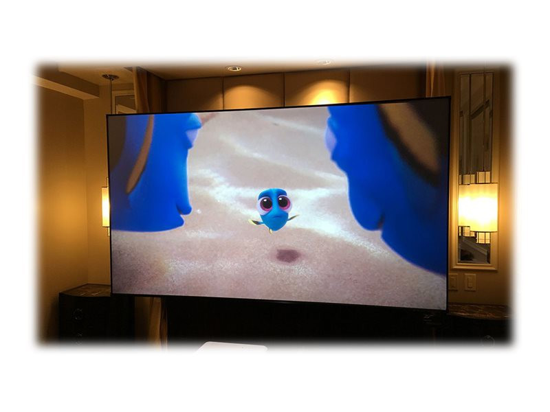 ELITE SCREENS CLR3 light rejecting