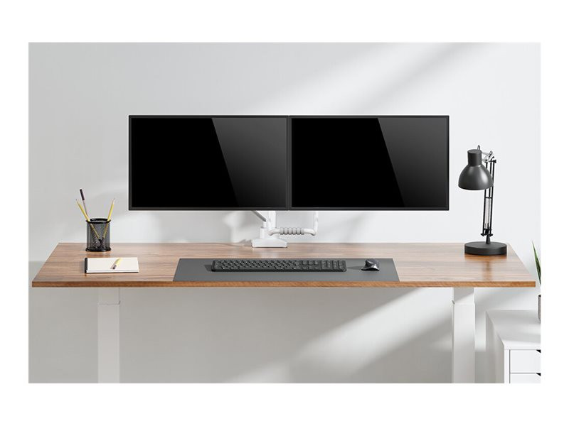NEOMOUNTS Screen Desk Mount 2 screens