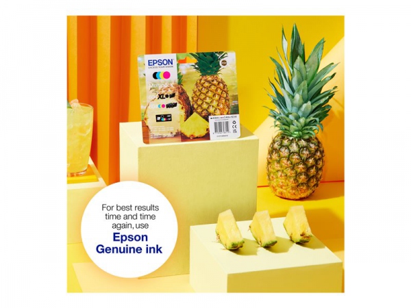 EPSON Ink C13T10H14010 604XL Black Pineapple