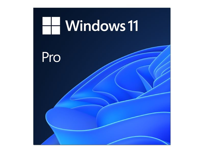BildeMS ESD Win Pro 11 64-bit