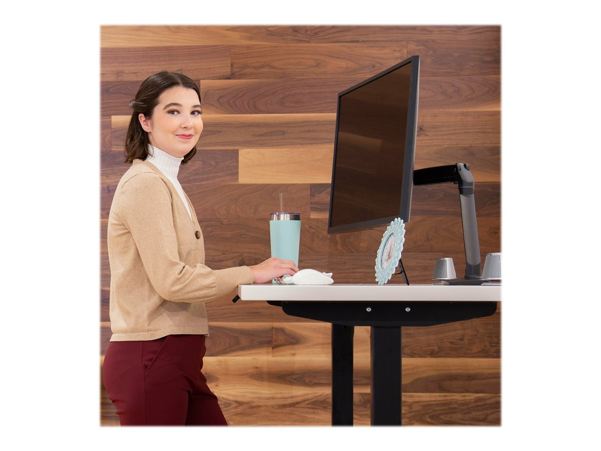 ERGOTRON MXV monitor arm table mount