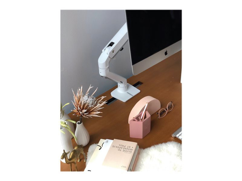 ERGOTRON HX monitor arm with HD monitor