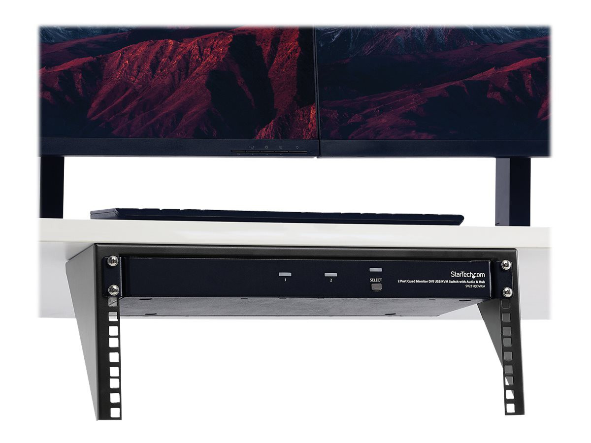 STARTECH RK419WALLV 4U 19in Deep Vertica