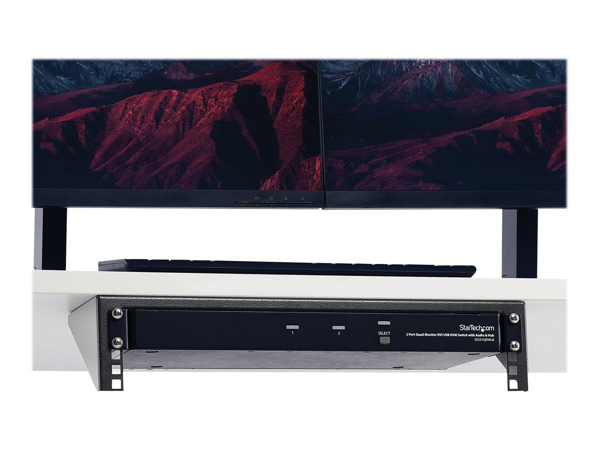 STARTECH RK219WALLV 2U 19in Deep Vertica