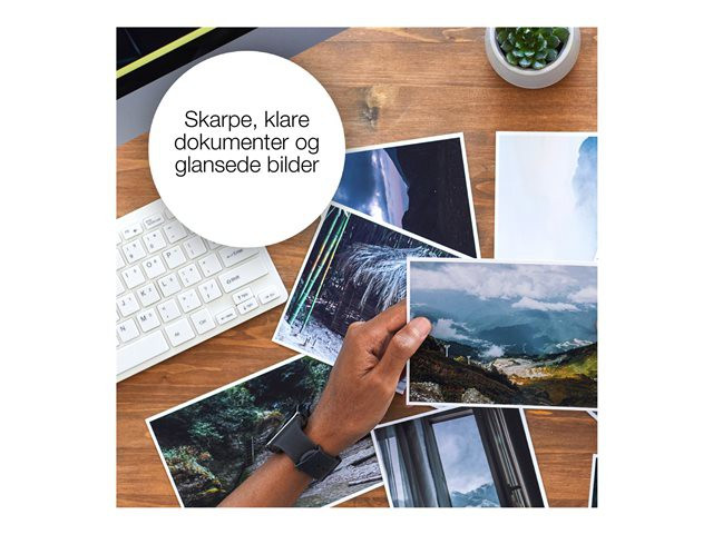 EPSON Multipack 4-colours 29 Claria Home