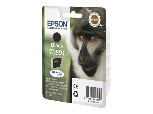 BildeEPSON ink T089 black blister