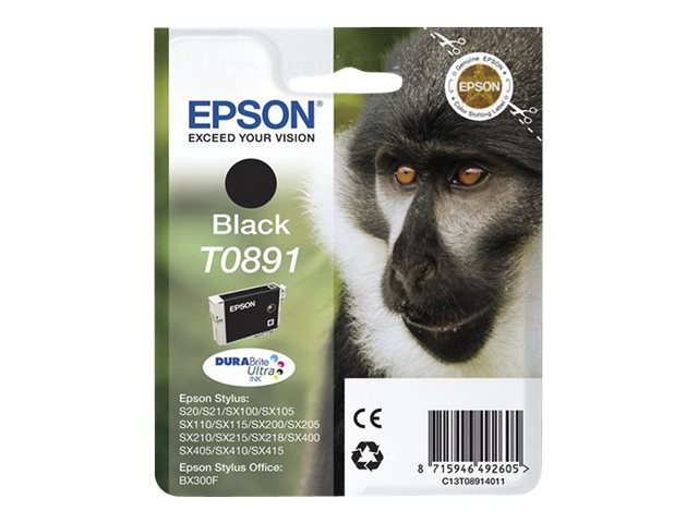 EPSON ink T089 black blister