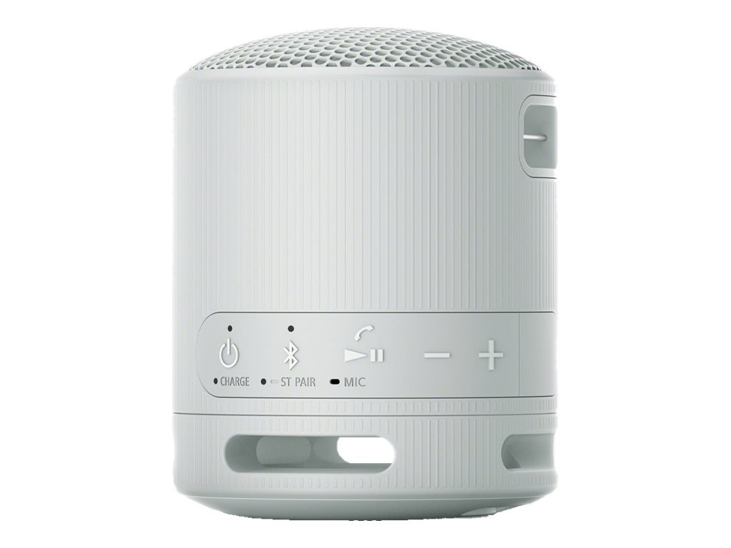 SONY SRSXB100H.CE7 wireless speaker Grey