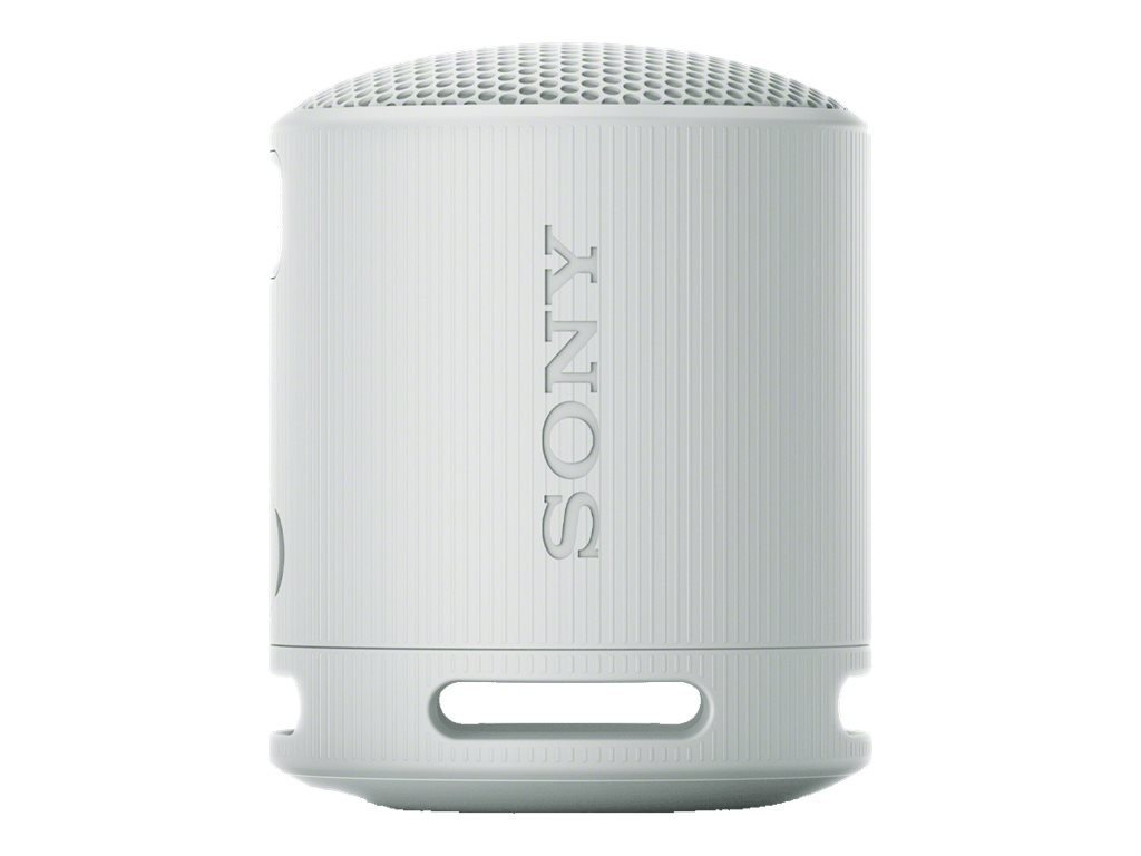 SONY SRSXB100H.CE7 wireless speaker Grey